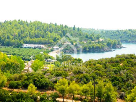 Αγροτεμάχια 4.350 τ.μ. για πώληση
