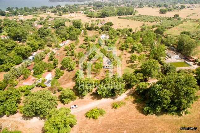 Parcel 9.046 sqm for sale, Chalkidiki, Panagia