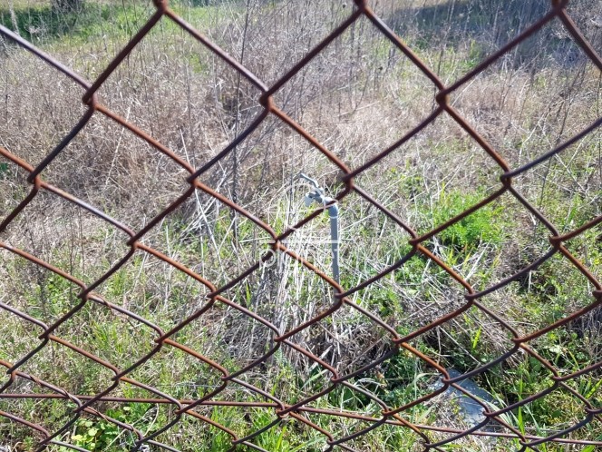 Αγροτεμάχια 6.000 τ.μ. προς πώληση, Κέντρο Επανομής