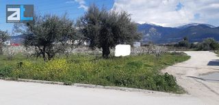 Οικόπεδο 420 τ.μ. για πώληση, Αχαΐα, Μεσσατίδα-thumb-5
