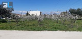 Οικόπεδο 420 τ.μ. για πώληση, Αχαΐα, Μεσσατίδα-thumb-2