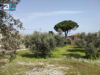 Οικόπεδο 1.216 τ.μ. για πώληση, Αχαΐα, Ρίο-thumb-1