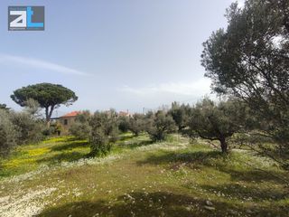 Οικόπεδο 1.216 τ.μ. για πώληση, Αχαΐα, Ρίο-thumb-5