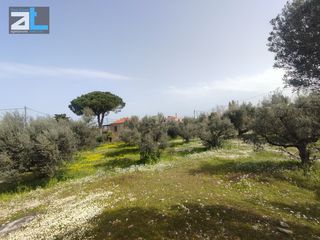 Οικόπεδο 1.216 τ.μ. για πώληση, Αχαΐα, Ρίο-thumb-4