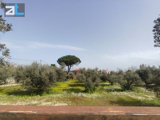 Οικόπεδο 1.216 τ.μ. για πώληση, Αχαΐα, Ρίο-thumb-6