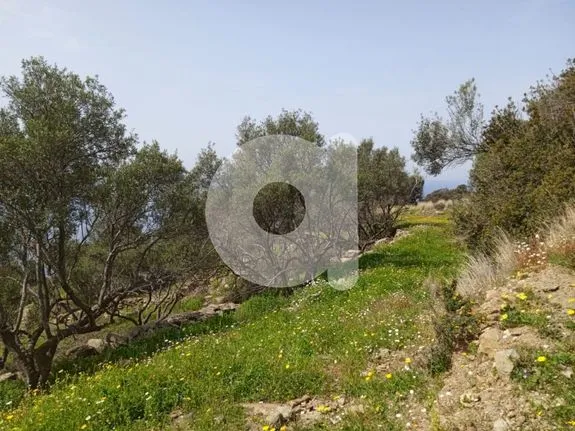 Parcel 17.147 sqm for sale, Lakonia, Kythira