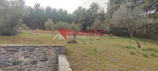 Αγροτεμάχια 13.000 τ.μ. για πώληση, Ν. Σερρών, Σέρρες-thumb-12