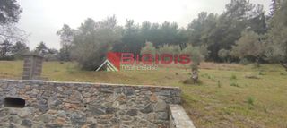 Αγροτεμάχια 13.000 τ.μ. για πώληση, Ν. Σερρών, Σέρρες-thumb-22