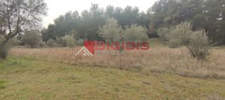 Αγροτεμάχια 13.000 τ.μ. για πώληση, Ν. Σερρών, Σέρρες-thumb-3