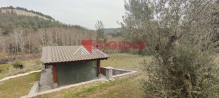 Αγροτεμάχια 13.000 τ.μ. για πώληση, Ν. Σερρών, Σέρρες-thumb-4