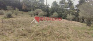 Αγροτεμάχια 13.000 τ.μ. για πώληση, Ν. Σερρών, Σέρρες-thumb-23