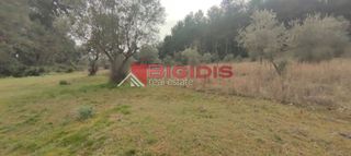 Αγροτεμάχια 13.000 τ.μ. για πώληση, Ν. Σερρών, Σέρρες-thumb-9