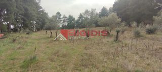 Αγροτεμάχια 13.000 τ.μ. για πώληση, Ν. Σερρών, Σέρρες-thumb-7
