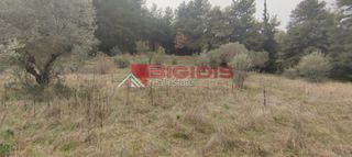 Αγροτεμάχια 13.000 τ.μ. για πώληση, Ν. Σερρών, Σέρρες-thumb-11