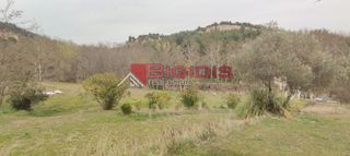 Αγροτεμάχια 13.000 τ.μ. για πώληση