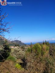 Αγροτεμάχια 2.800 τ.μ. για πώληση, Ν. Σάμου, Σάμος-thumb-17