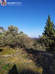 Αγροτεμάχια 2.800 τ.μ. για πώληση, Ν. Σάμου, Σάμος-thumb-20