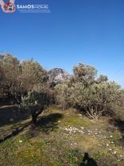 Αγροτεμάχια 2.800 τ.μ. για πώληση, Ν. Σάμου, Σάμος-thumb-21