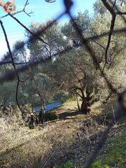 Αγροτεμάχια 2.800 τ.μ. για πώληση, Ν. Σάμου, Σάμος-thumb-24