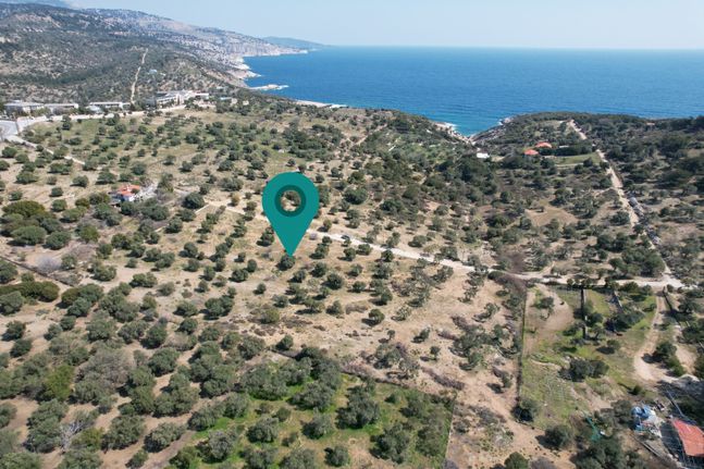 Αγροτεμάχια 7.752 τ.μ. για πώληση, Ν. Καβάλας, Θάσος