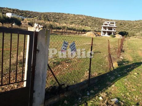 Μονοκατοικία 369 τ.μ. για πώληση