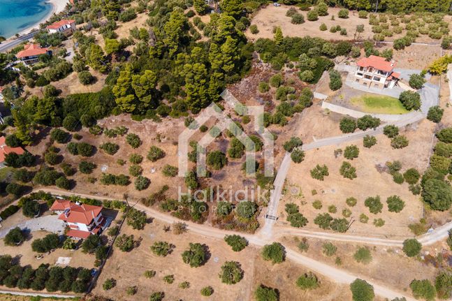 Αγροτεμάχια 6.900 τ.μ. για πώληση, Χαλκιδική, Σιθωνία