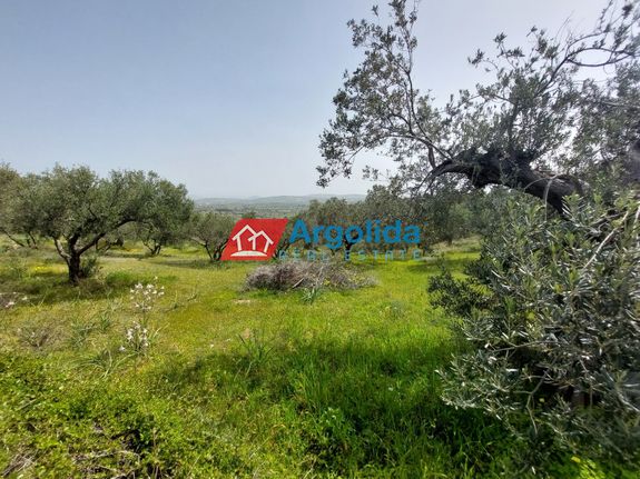 Αγροτεμάχια 5.500 τ.μ. για πώληση, Αργολίδα, Κρανίδι