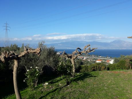 Οικόπεδο 3.032 τ.μ. για πώληση