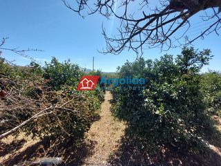 Αγροτεμάχια 13.200 τ.μ. για πώληση, Αργολίδα, Μιδέα-thumb-7