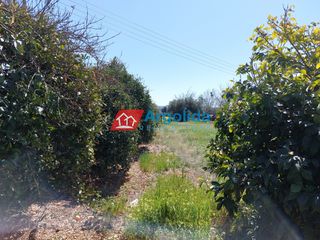Αγροτεμάχια 13.200 τ.μ. για πώληση, Αργολίδα, Μιδέα-thumb-14