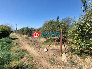 Αγροτεμάχια 13.200 τ.μ. για πώληση, Αργολίδα, Μιδέα-thumb-4