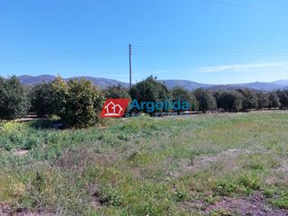 Αγροτεμάχια 13.200 τ.μ. για πώληση, Αργολίδα, Μιδέα-thumb-21