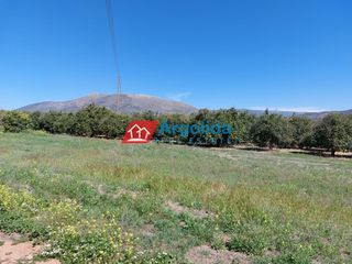Αγροτεμάχια 13.200 τ.μ. για πώληση, Αργολίδα, Μιδέα-thumb-1