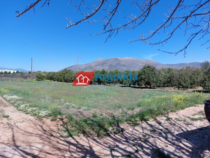 Αγροτεμάχια 13.200 τ.μ. πρός πώληση, Αργολίδα, Μιδέα