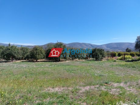 Αγροτεμάχια 13.200τ.μ. για πώληση-Μιδέα » Ανύφι