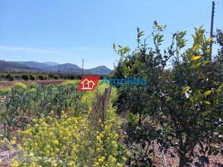 Αγροτεμάχια 13.200 τ.μ. για πώληση, Αργολίδα, Μιδέα-thumb-6