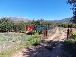 Αγροτεμάχια 13.200 τ.μ. για πώληση, Αργολίδα, Μιδέα-thumb-18