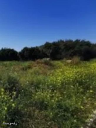 Land plot 23.000 sqm for sale, Cyclades, Anafi