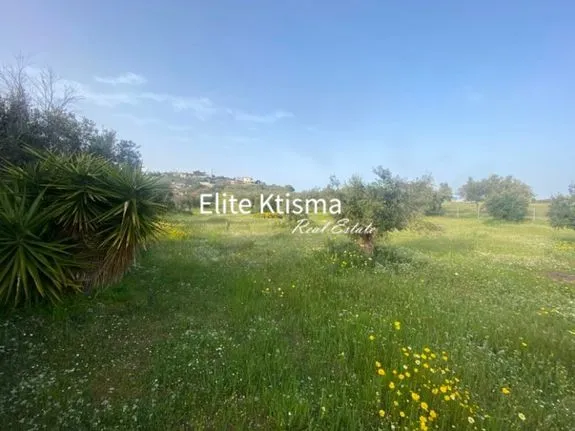 Parcel 6.700 sqm for sale, Rest Of Attica, Keratea