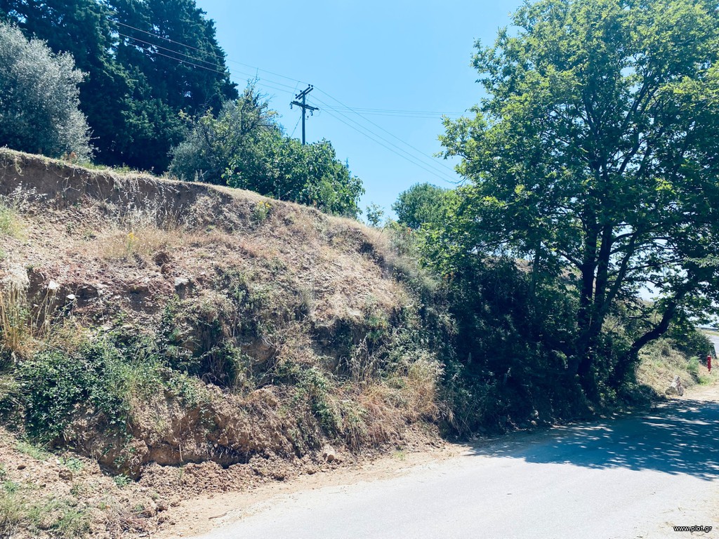 Οικόπεδο 1.600 τ.μ. πρός πώληση, Μαγνησία, Πορταριά