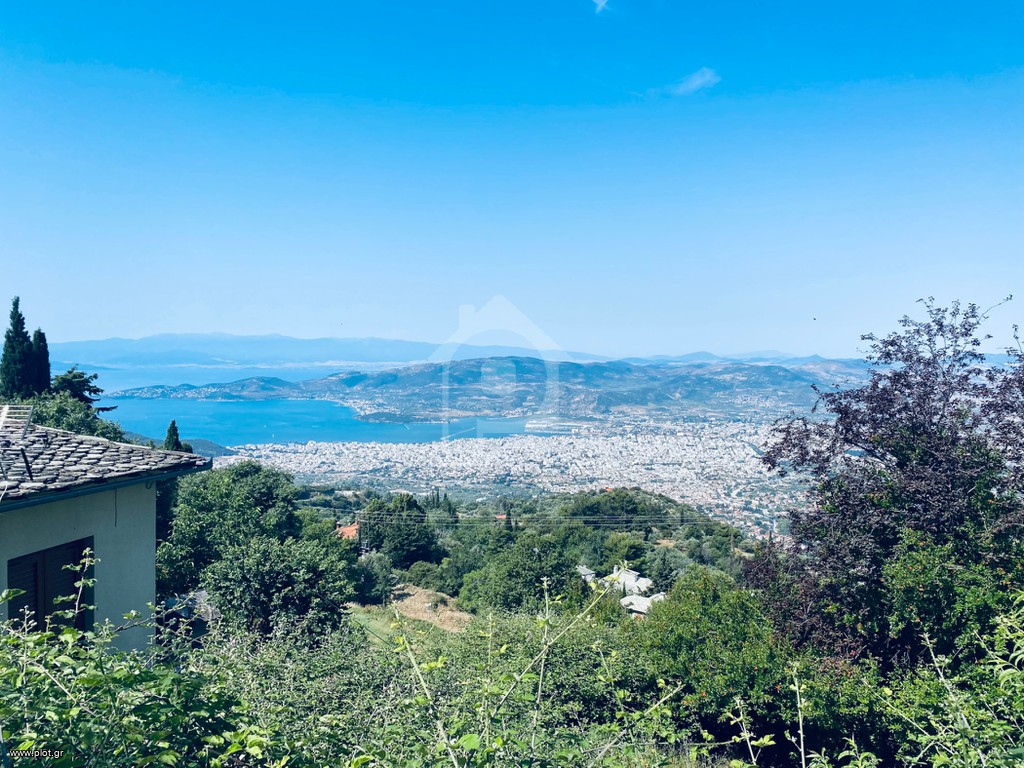 Οικόπεδο 1.600 τ.μ. πρός πώληση, Μαγνησία, Πορταριά
