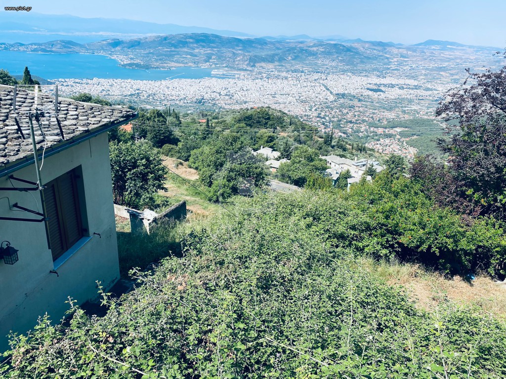 Οικόπεδο 1.600 τ.μ. πρός πώληση, Μαγνησία, Πορταριά