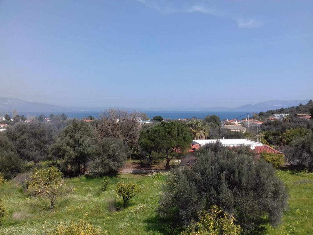 Κτίριο 240 τ.μ. πρός πώληση, Αττική - Υπόλοιπο, Κάλαμος
