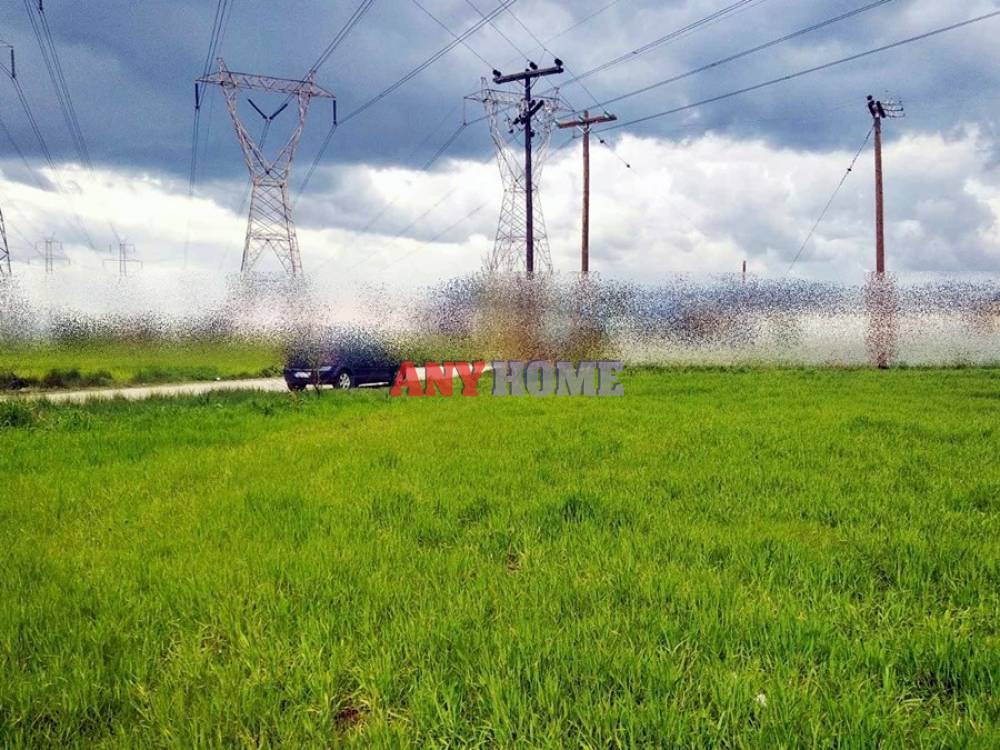 Αγροτεμάχια 6.678 τ.μ. προς πώληση, ΒΙ.ΠΑ. Ωραιοκάστρου
