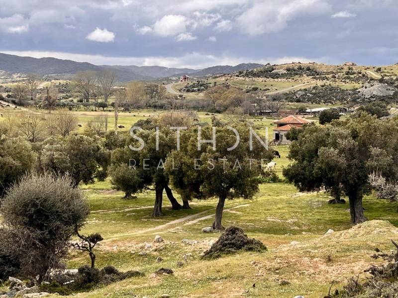 Οικόπεδο 500 τ.μ. προς πώληση, Σκάλα Συκέας