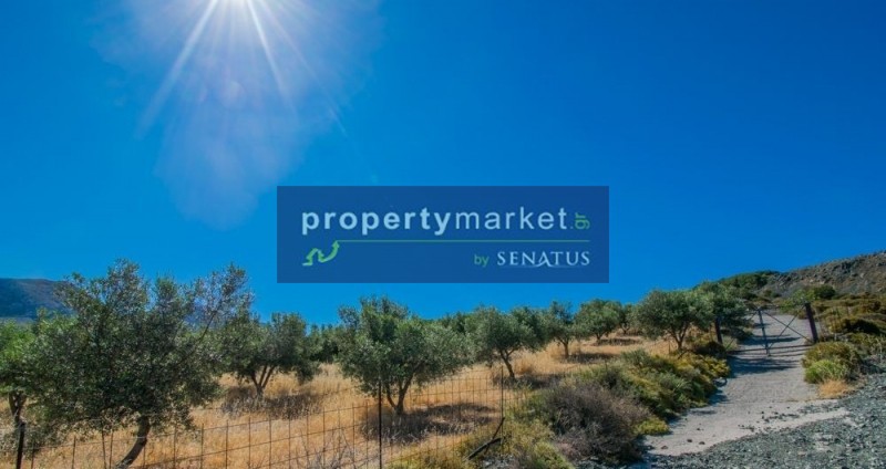 Αγροτεμάχια 26.000 τ.μ. πρός πώληση, Ν. Ρεθύμνου, Λάμπη