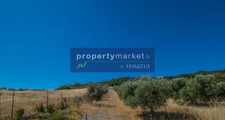 Parcel 26.000sqm for sale-Lampi » Aktounta