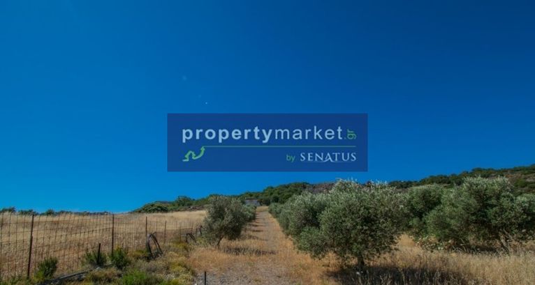 Parcel 26.000 sqm for sale, Rethymno Prefecture, Lampi