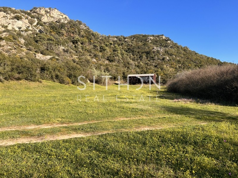 Αγροτεμάχια 2.156 τ.μ. προς πώληση, Συκιά Τορώνης
