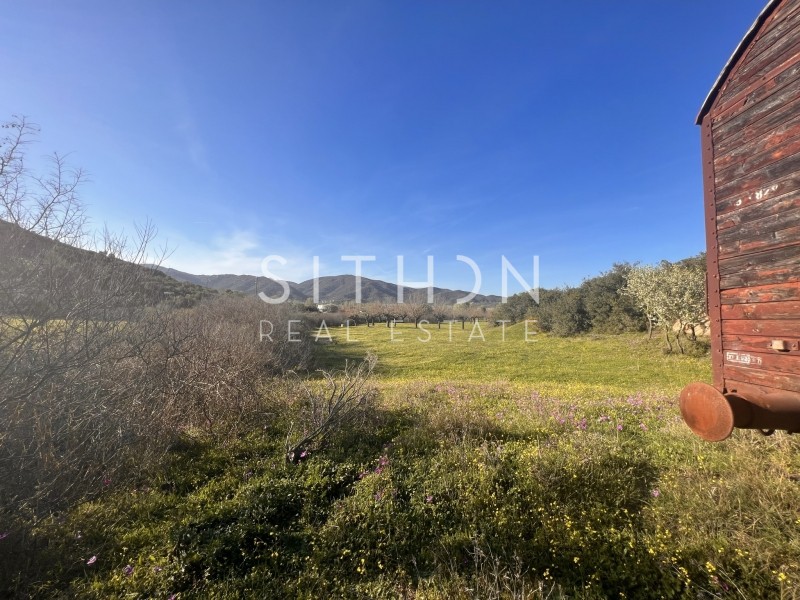 Αγροτεμάχια 2.156 τ.μ. προς πώληση, Συκιά Τορώνης
